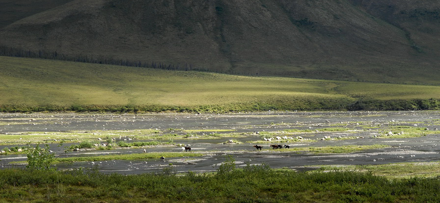 Site-DEMPSTER-HWY-0288 2